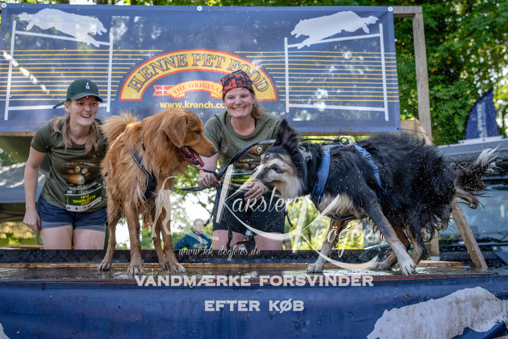 1540_ZZ92602 | kk-dogfotos
