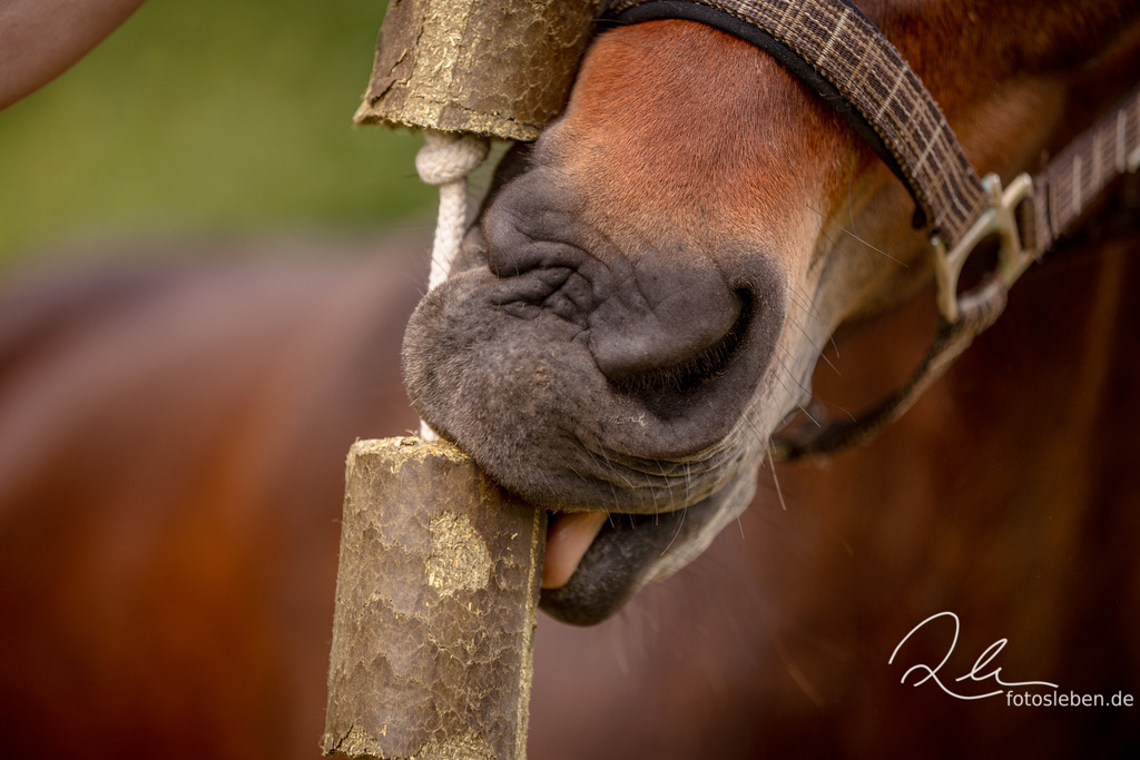 846A2643 | fotosleben - Realisiert mit Pictrs.com