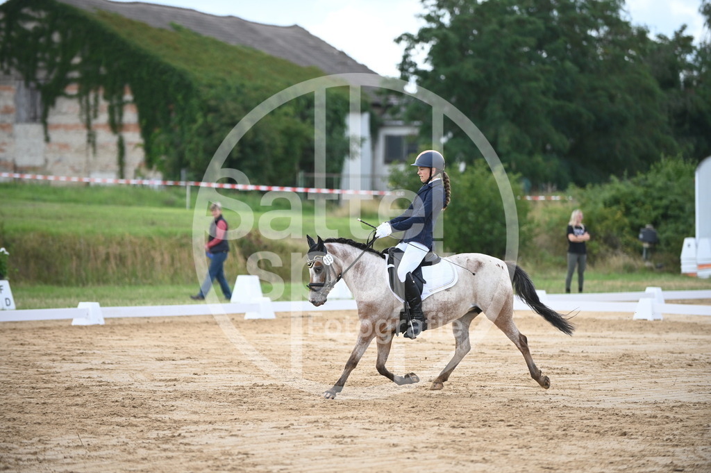 DSC_6239 | sattelsport - Realisiert mit Pictrs.com