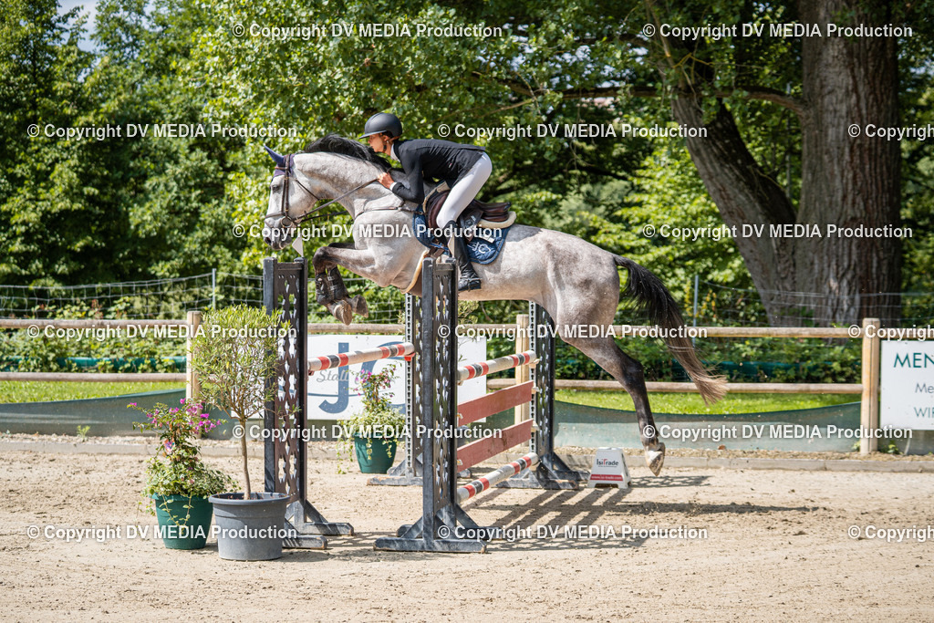 Hessische Tag 1-339 | dv-media-shop - Realisiert mit Pictrs.com