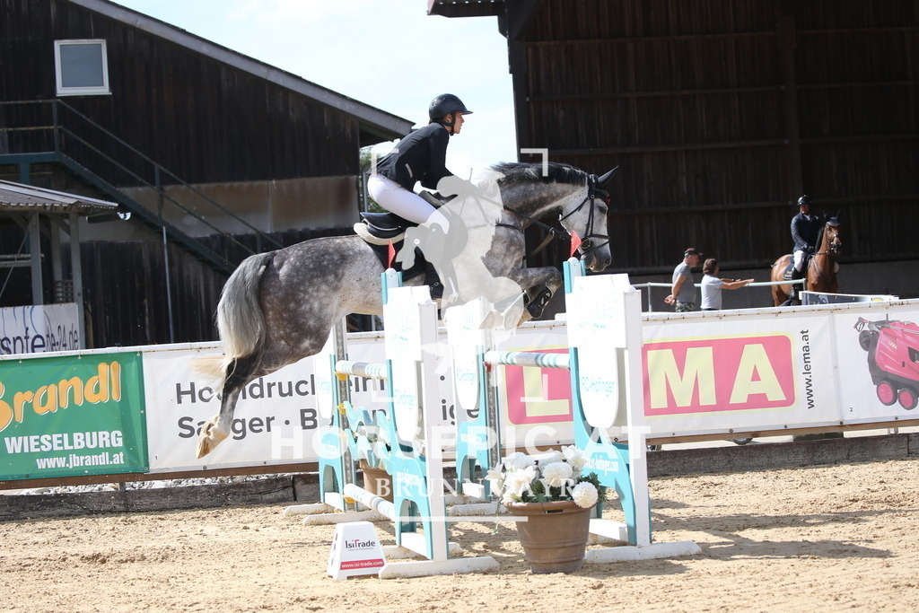 DL2Q3210 | Willkommen bei Brunnmayr - Design & Fotografie – Ihrem Spezialisten für Reitturniere und Pferdeveranstaltungen in Oberösterreich, Salzburg und Bayern! Seit über 17 Jahren sind wir leidenschaftlich dabei.