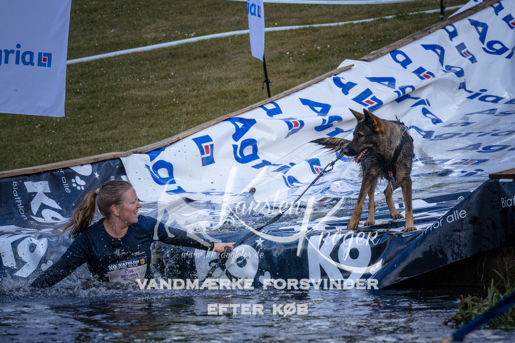 _ZZ921740923 | kk-dogfotos