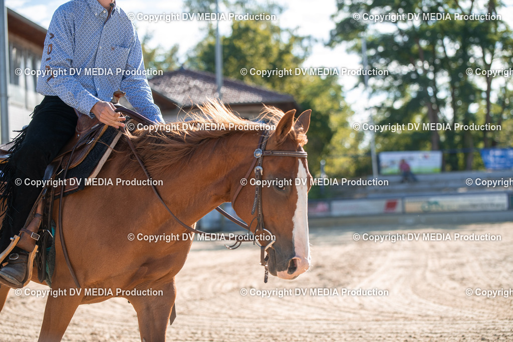 EWP_7056 | dv-media-shop - Realisiert mit Pictrs.com