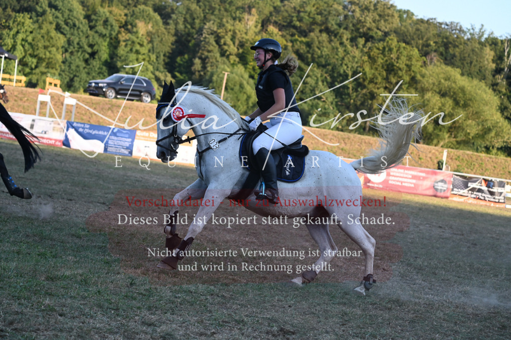 DSC_9302 | Pferde- und Turnierfotografie in Westsachsen. Pferdeportraits, Auftragszeichnungen und intuitive Kunst.