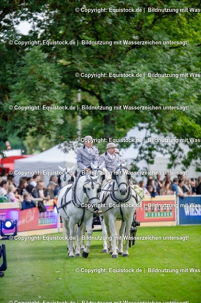 20250606_Lange-Pferdenacht_0209 | Foto: Thomas Hartig