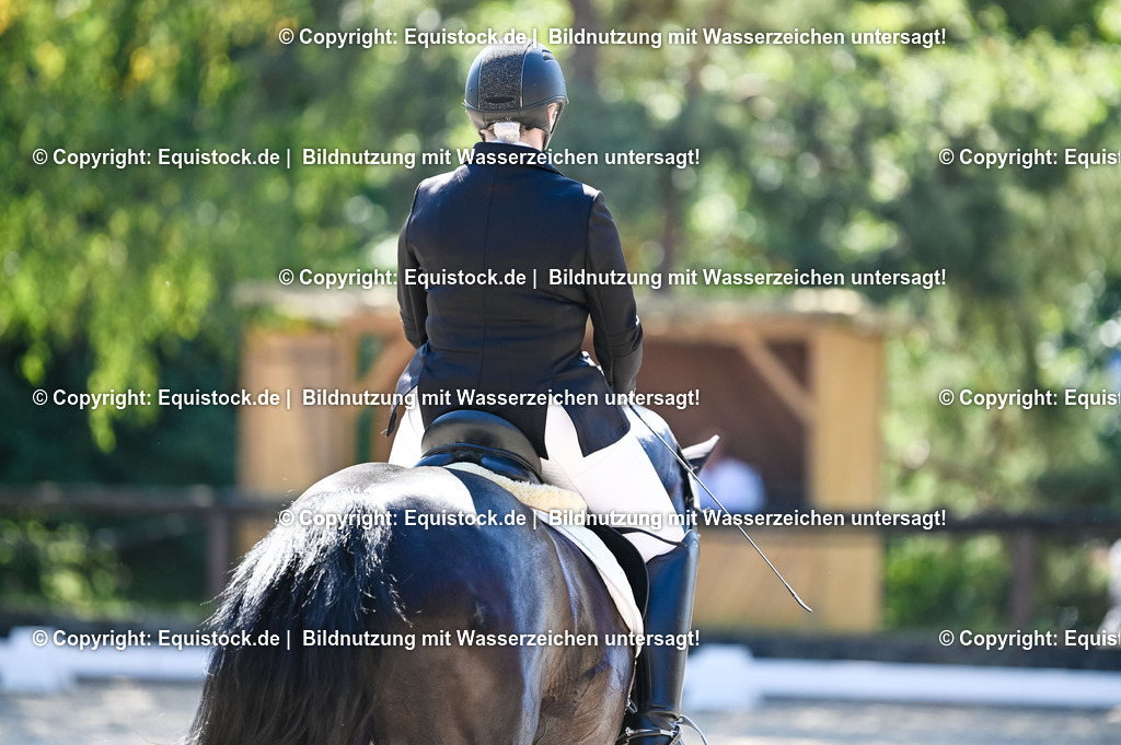 20230908_06_Dressur-L-Trense_0676 | equistock