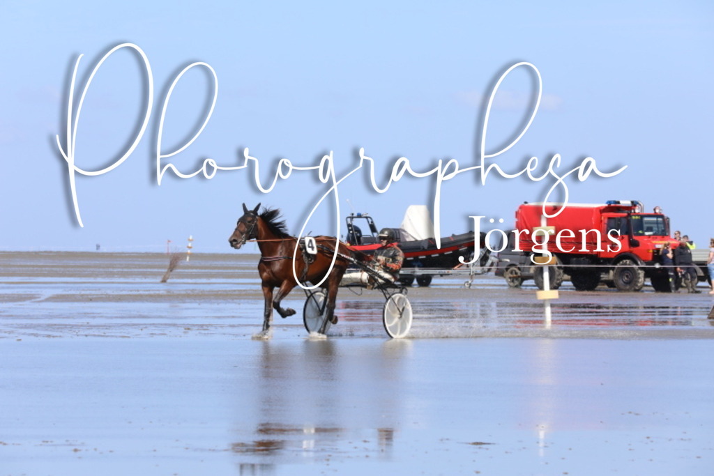 IMG_9501 | photographesa-joergens - Realisiert mit Pictrs.com