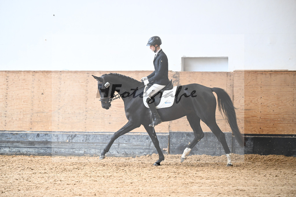 Kat-Nr. 8 Selma v. Don Royal_Eder_50250276 | hf-fotografie - Realisiert mit Pictrs.com