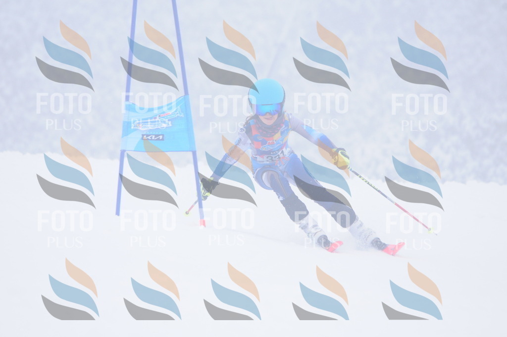 C3536 | holidayphoto