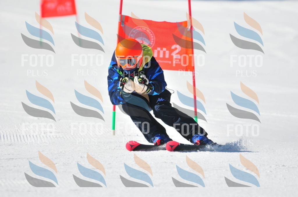 C3824 | holidayphoto