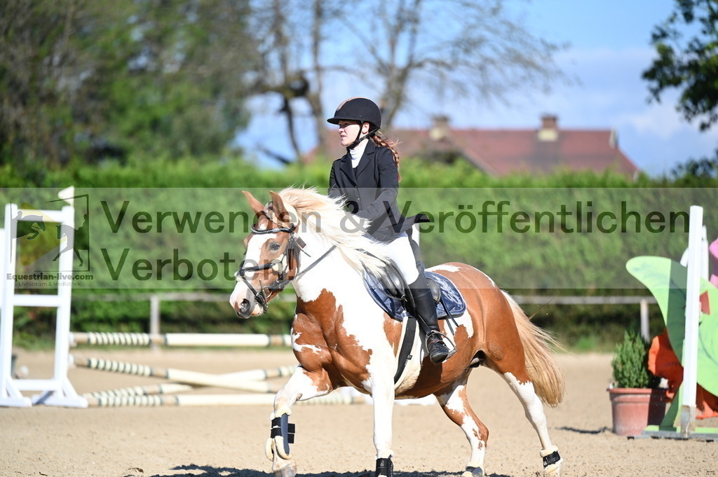 DSC_7919 | equestrian-live-com