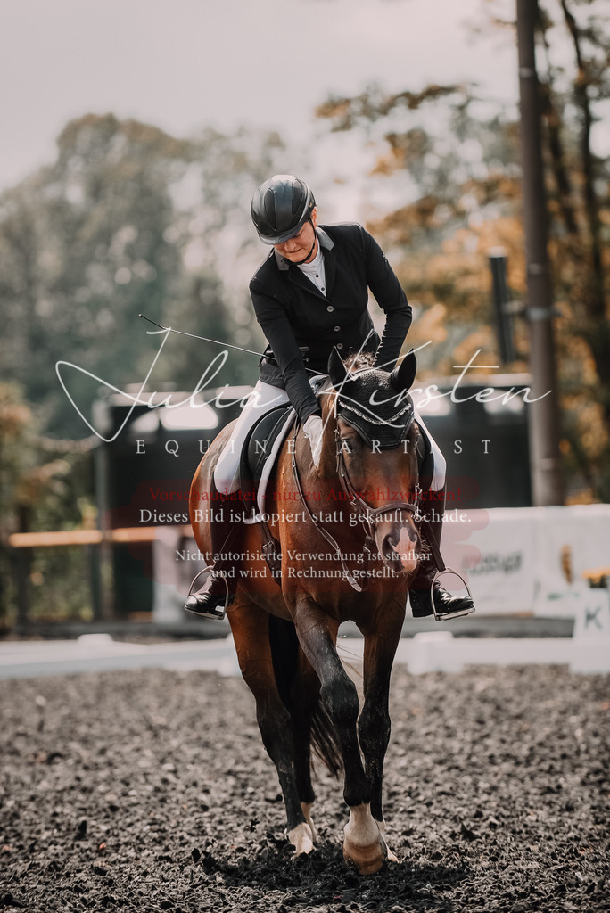 DSC_4049 | Pferde- und Turnierfotografie in Westsachsen. Pferdeportraits, Auftragszeichnungen und intuitive Kunst.