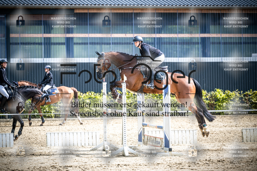 DOS_2246 | Reitturnier Lüdinghausen - Realisiert mit Pictrs.com