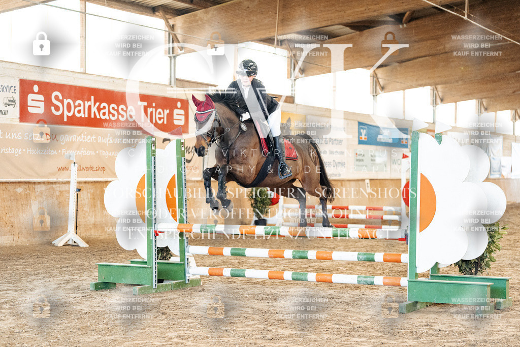 CK903774 | Turnierfotografie Pferdefotografie Trier Rheinland-Pfalz Pferdesport Reitsport Tierfotografie Sportfotografie Pferdevideo Pferdevideografie Equestrianvideography equestrianphotography  - Realized with Pictrs.com