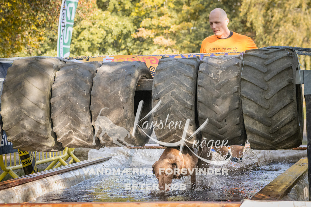 1144_ZZ93411 | kk-dogfotos