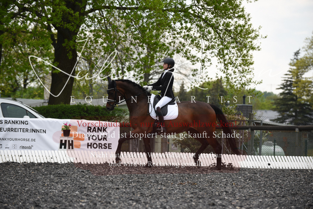 20230513_JK-Röhrsdorf-16-045 | Pferde- und Turnierfotografie in Westsachsen. Pferdeportraits, Auftragszeichnungen und intuitive Kunst.