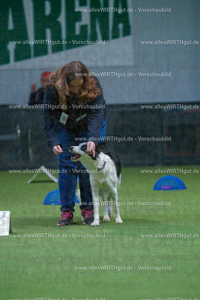 7R501380 | Professionelle Tierfotografie in Mönchengladbach von Daniel Wirth (allesWIRTHgut). Liebevolle & natürliche Bilder von Hunden & Katzen für unvergessliche Erinnerungen.