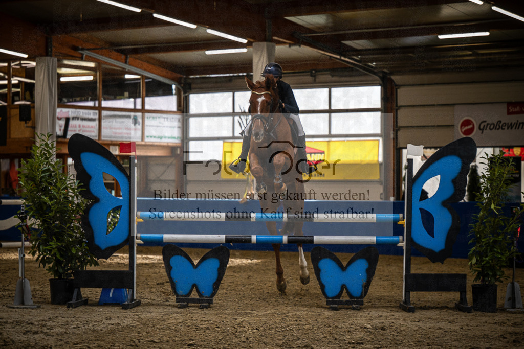 DOS_B1371 | Entdecke hochwertige Reitturnierfotos von Foto Oger. Professionell, emotional und authentisch – jetzt Lieblingsmomente im Shop bestellen.Deutschlandweite Turnierfotografie. - Realisiert mit Pictrs.com