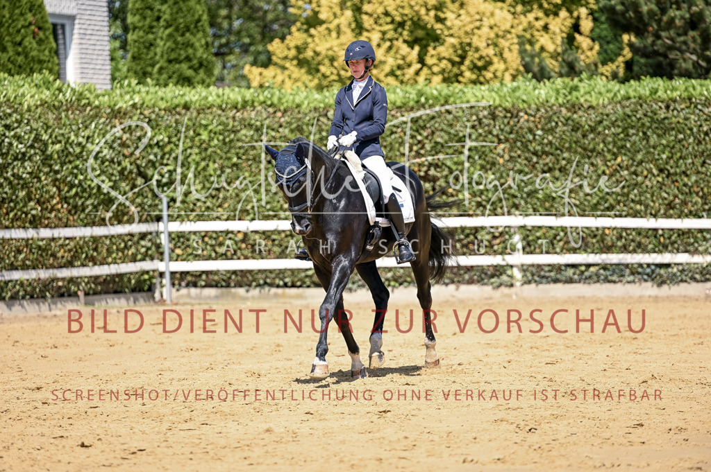 Schugtsche-Aluta25-49.Dressurpferdeprf.A-277 | Schugtsche Fotografie - Realisiert mit Pictrs.com