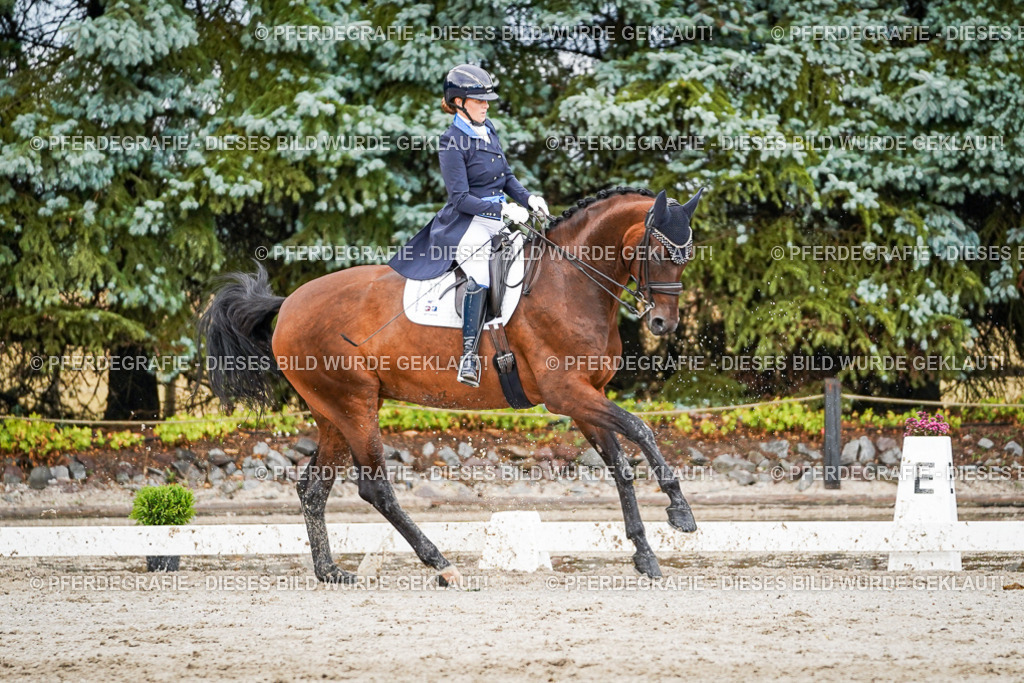 DSC00102 | Pferdegrafie