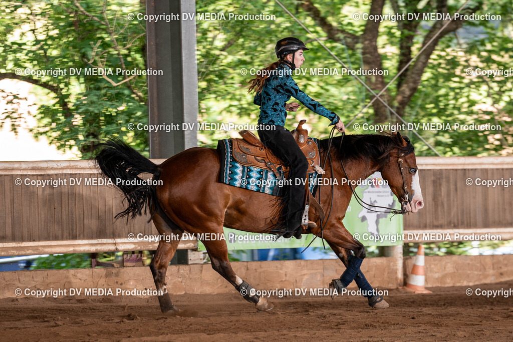 Erbach Tag 2-917 | dv-media-shop - Realisiert mit Pictrs.com