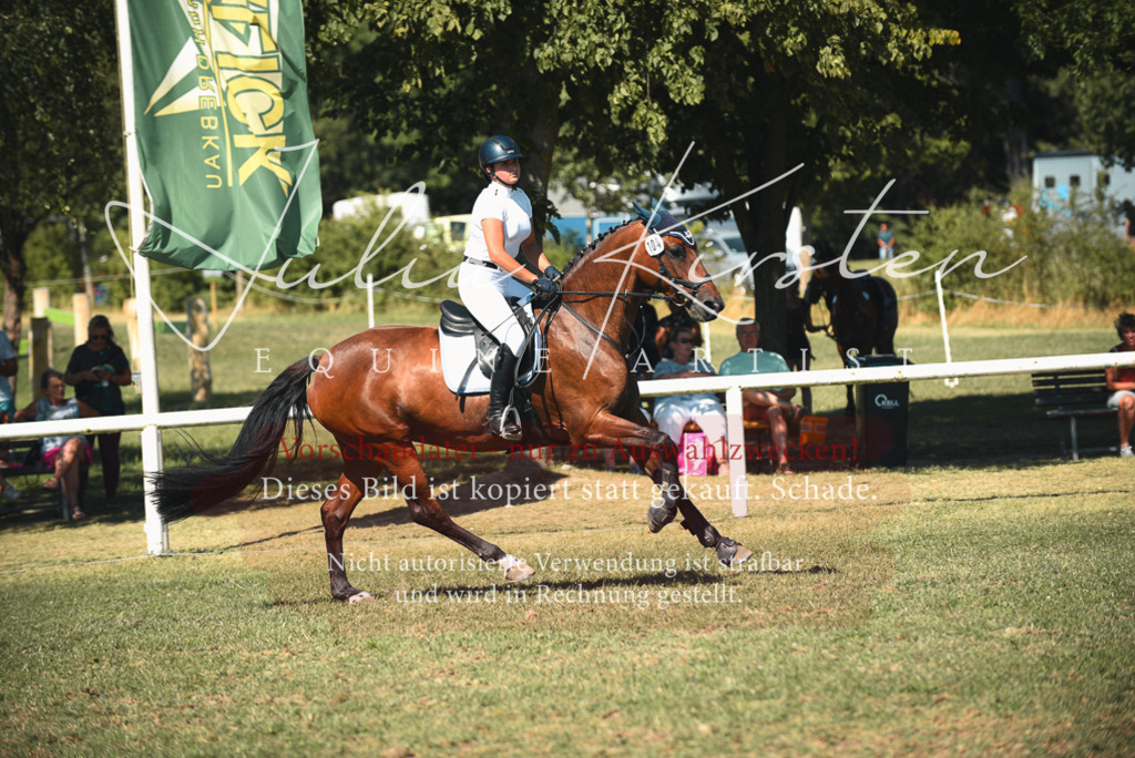 DSC_7244 | Pferde- und Turnierfotografie in Westsachsen. Pferdeportraits, Auftragszeichnungen und intuitive Kunst.