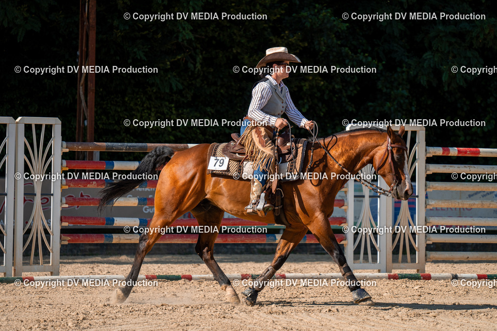 ZH100770 | dv-media-shop - Realisiert mit Pictrs.com