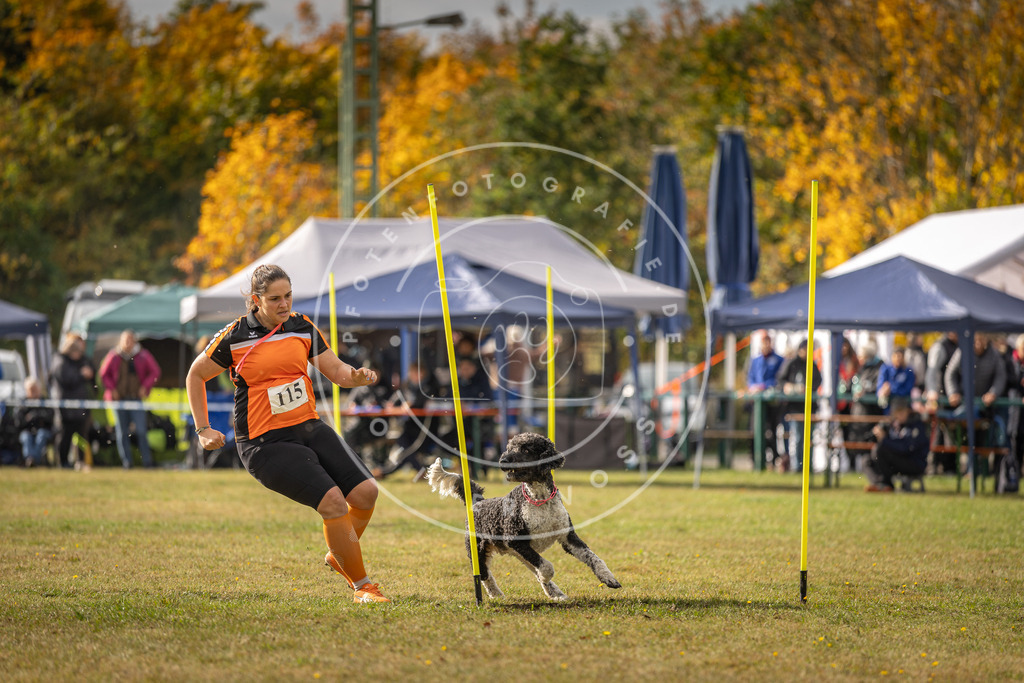 Pfotenfotografie_DV3A7027 | Hundefotografie, Tierfotograf, Pfotenfotografie, Fotoshooting Hund, Hunde Portrait, Hundesport, Hundeportraits, Heideshooting, Hunde, Sportfotograf, Hundefotograf, Turnierhundsport, THS,  - Realisiert mit Pictrs.com