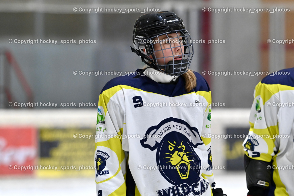 Wildcats Paternion vs. Lady Hawks  | #9 Neumann Magdalena WILDCATS PATERNION, Wildcats Paternion vs. Lady Hawks , Wildcats Paternion vs. Lady Hawks  am 27.01.2025 in Spittal an der Drau (Eissportzentrum Spittal), Austria, (Photo by Bernd Stefan)