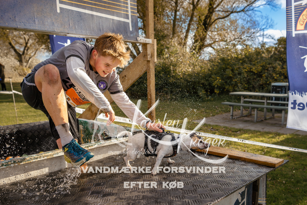 1558_ZZ97581 | kk-dogfotos