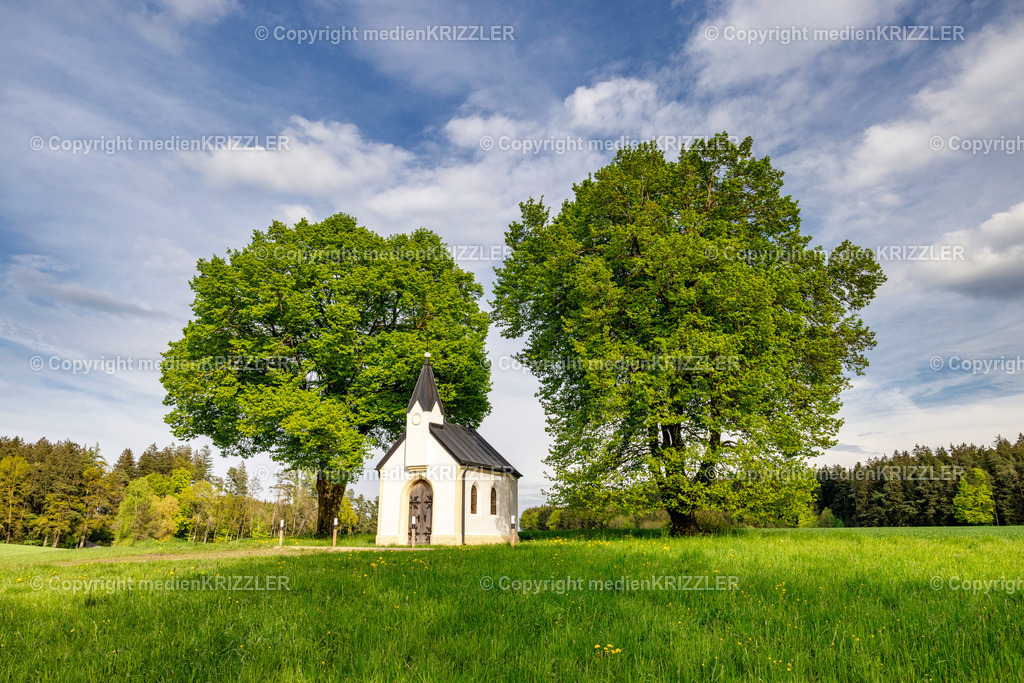 _J3A8911 | medienkrizzler - Realisiert mit Pictrs.com