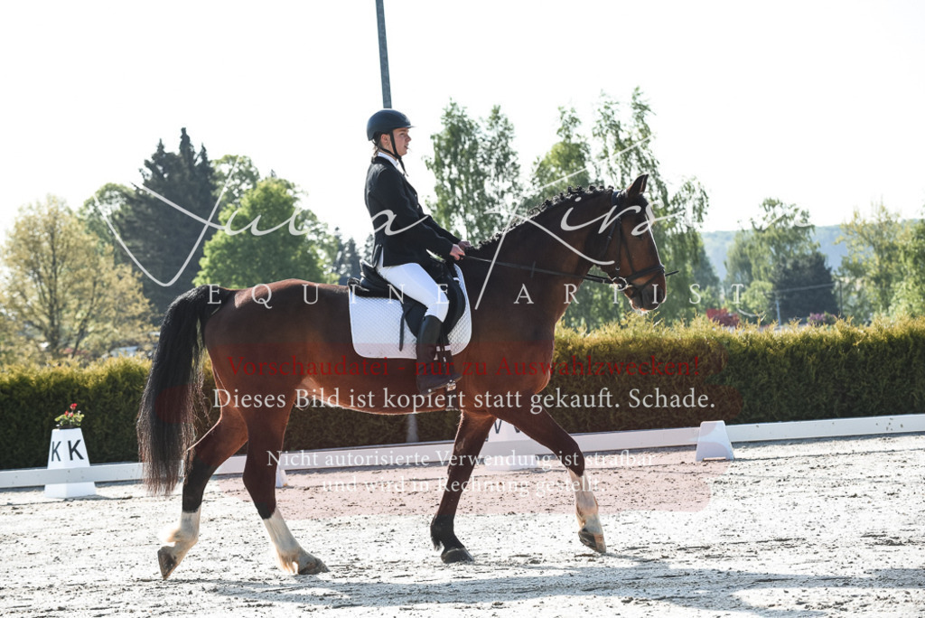 20230518_JK-Röhrsdorf-09-0678 | Pferde- und Turnierfotografie in Westsachsen. Pferdeportraits, Auftragszeichnungen und intuitive Kunst.