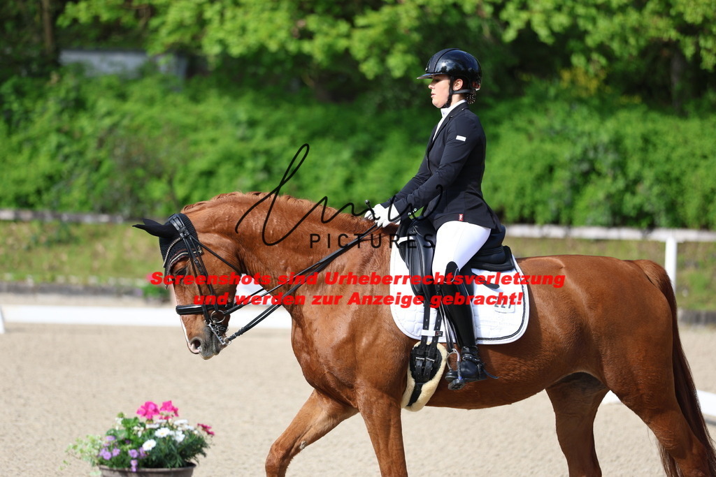 A40A3601 | lmwpictures - Realisiert mit Pictrs.com