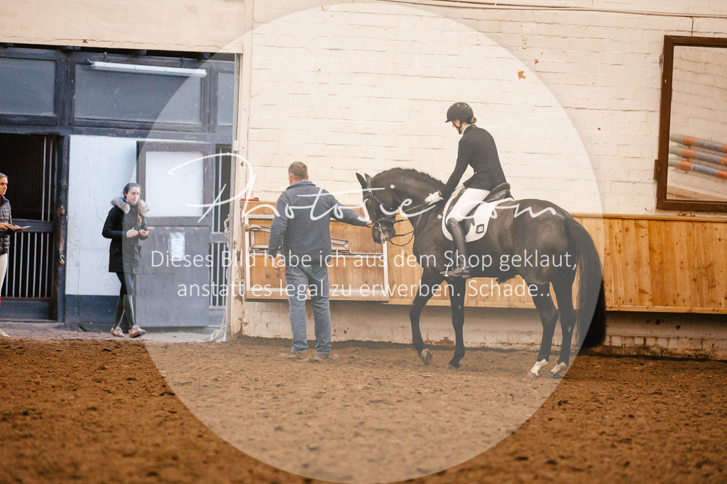 3I6A7188 | Stimmungsvolle Portraits und Reitsportfotografie im Ruhrgebiet und im Münsterland.

Pferdefotografie, Hundefotografie, Tierfotografie, Reportagen, Portraits von Tier und Mensch, Turnierfotografie in Bochum, Recklinghausen, Marl, Haltern am See, Dülmen.. - Realisiert mit Pictrs.com