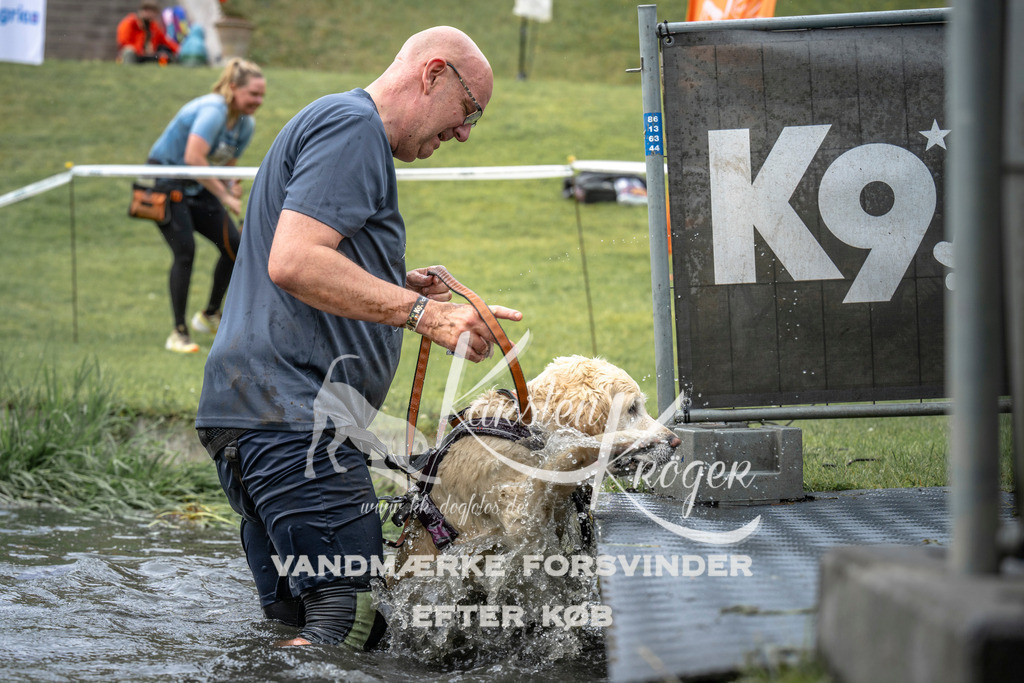 1548_ZZ96652 | kk-dogfotos