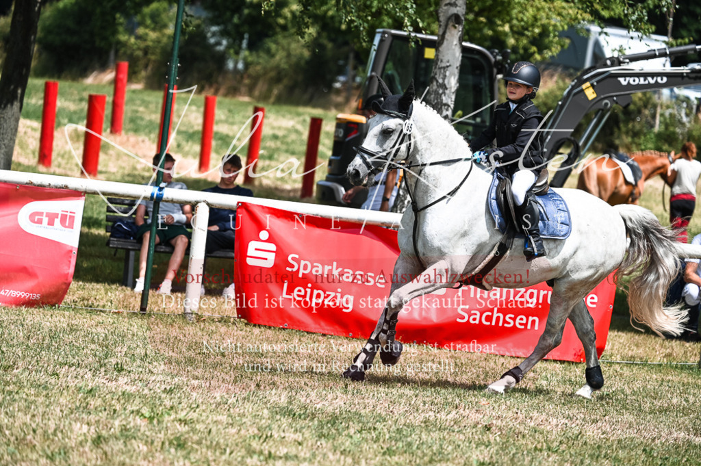 DSC_9818 | Pferde- und Turnierfotografie in Westsachsen. Pferdeportraits, Auftragszeichnungen und intuitive Kunst.
