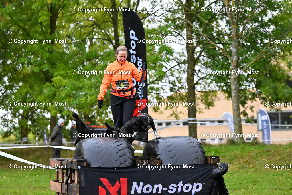 DSC_0055 | Hallo und herzlich Willkommen auf meiner Shop-Seite Fynn Most.

Ich wünsche Dir viel Spaß beim stöbern durch die Bilder, wenn Du Fragen hast oder Bilder vermisst, kannst du mir gerne eine Nachricht schreiben. - Realized with Pictrs.com