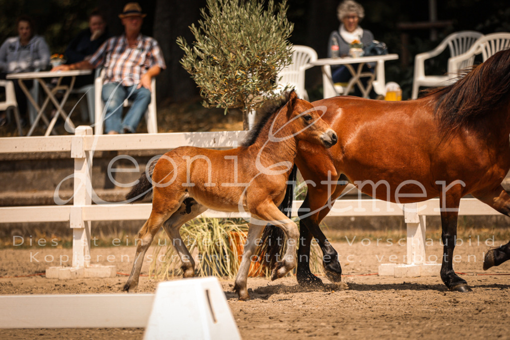 02.DoSR00126 | Leoni Ertmer Photography - Realisiert mit Pictrs.com