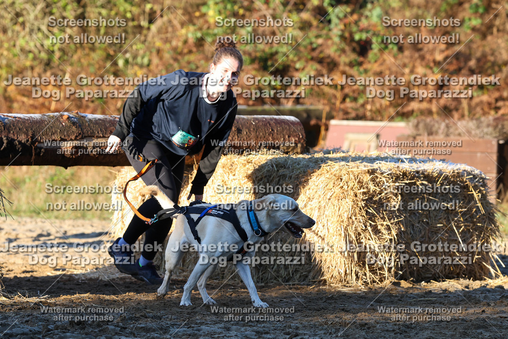 Dog Paparazzi - Strongdog 10-25-801 | Dog Paparazzi Jeanette Grottendiek Fotografie & Videografie - Realisiert mit Pictrs.com