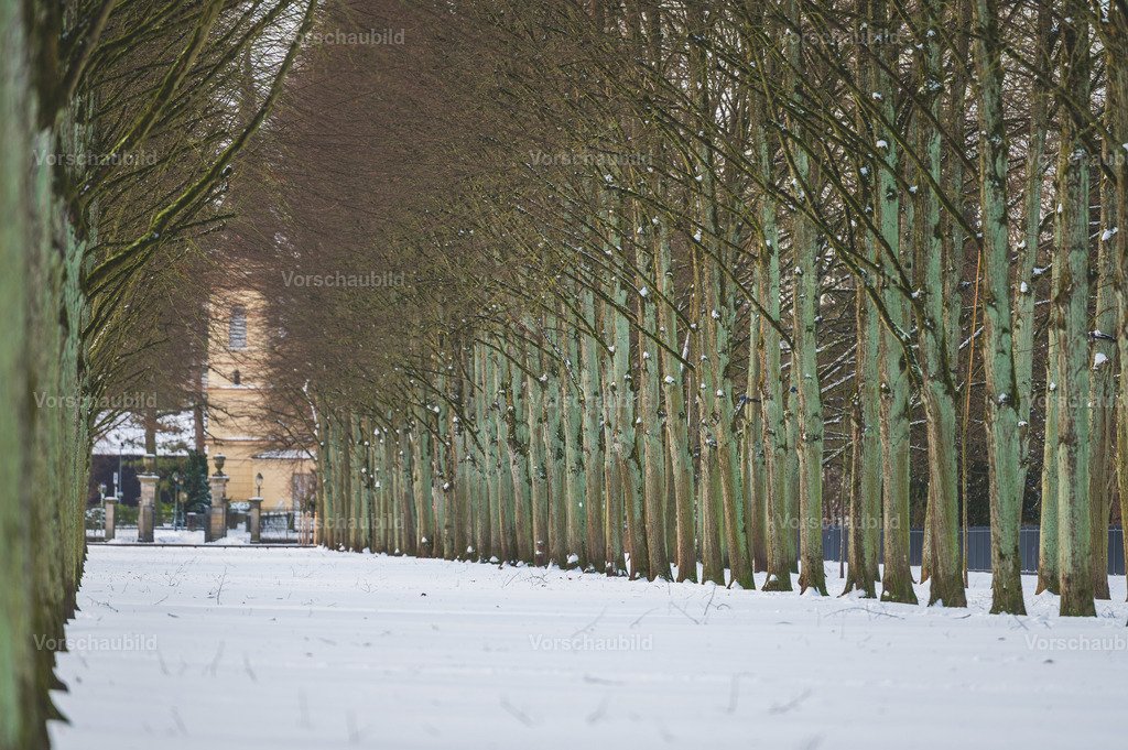 Celle im Schnee | Stadtlandschaften, sowie Makro-, Landschafts-, Natur- und Schwarzweißfotos aus der Region Celle &amp; Umgebung