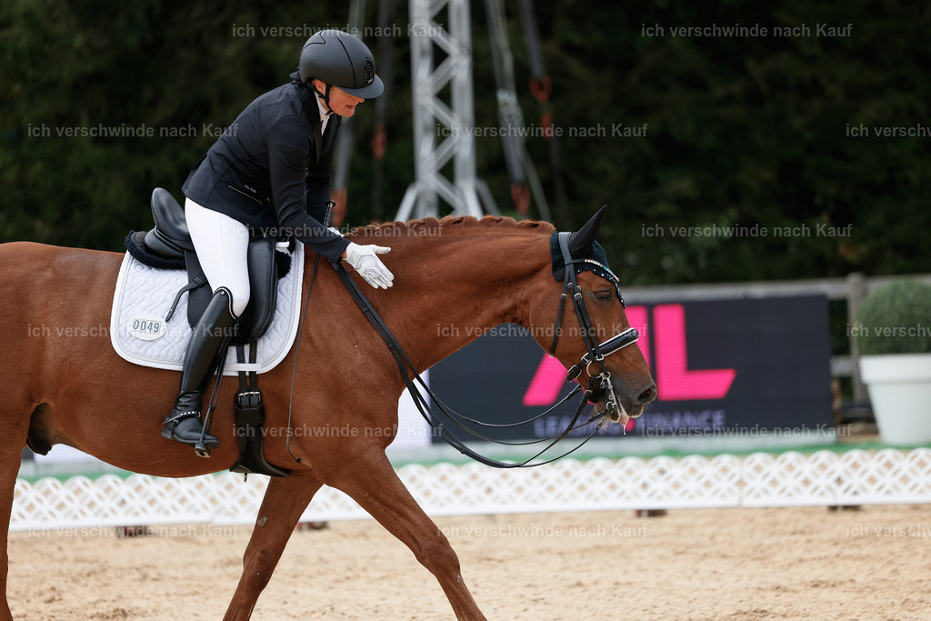 3-049-Dressur M_-StoibPH-2288 | working equitationturnier fotograf videograf stoibphotography marixx film working equitation deutschland reitsport turnierfotografie eventfotografie equestrian events