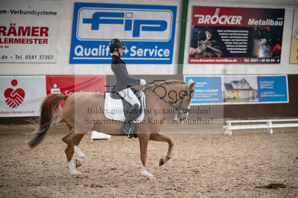 Hallenreittunier Voxtrup 2023 | Entdecke hochwertige Reitturnierfotos von Foto Oger. Professionell, emotional und authentisch – jetzt Lieblingsmomente im Shop bestellen.Deutschlandweite Turnierfotografie. - Realisiert mit Pictrs.com