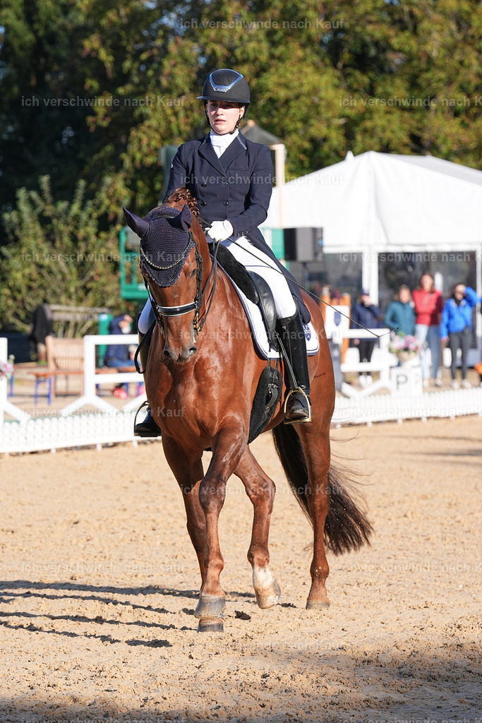 09_1-143-DRESSUR  S_  -Marixx-5666 | working equitationturnier fotograf videograf stoibphotography marixx film working equitation deutschland reitsport turnierfotografie eventfotografie equestrian events
