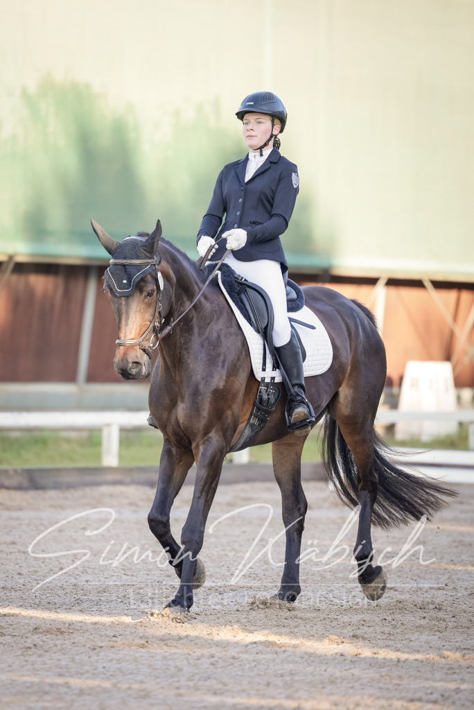 20250906-_3LI2621 | Tierfotografie Pferde, Hunde, Katzen, Haustiere.
Turnierfotografie Reitturniere, Reiten, Springreiten, Dressur in Hanau, dem Main-Kinzig-Kreis und dem Rhein-Main- Gebiet um Frankfurt
