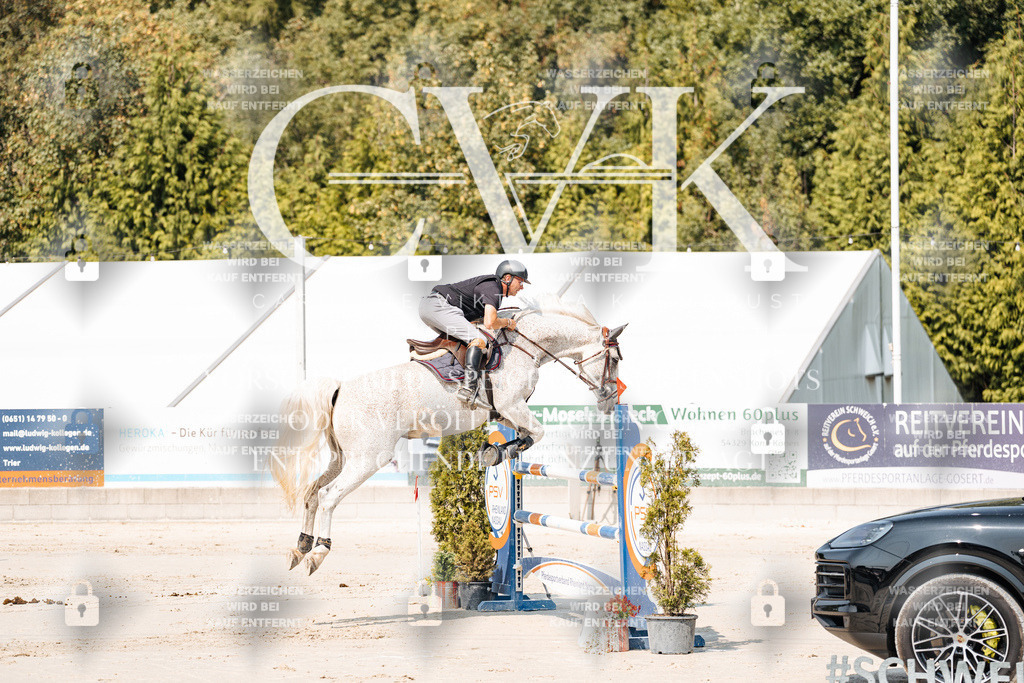 CK901431 | Turnierfotografie Pferdefotografie Trier Rheinland-Pfalz Pferdesport Reitsport Tierfotografie Sportfotografie Pferdevideo Pferdevideografie Equestrianvideography equestrianphotography  - Realisiert mit Pictrs.com