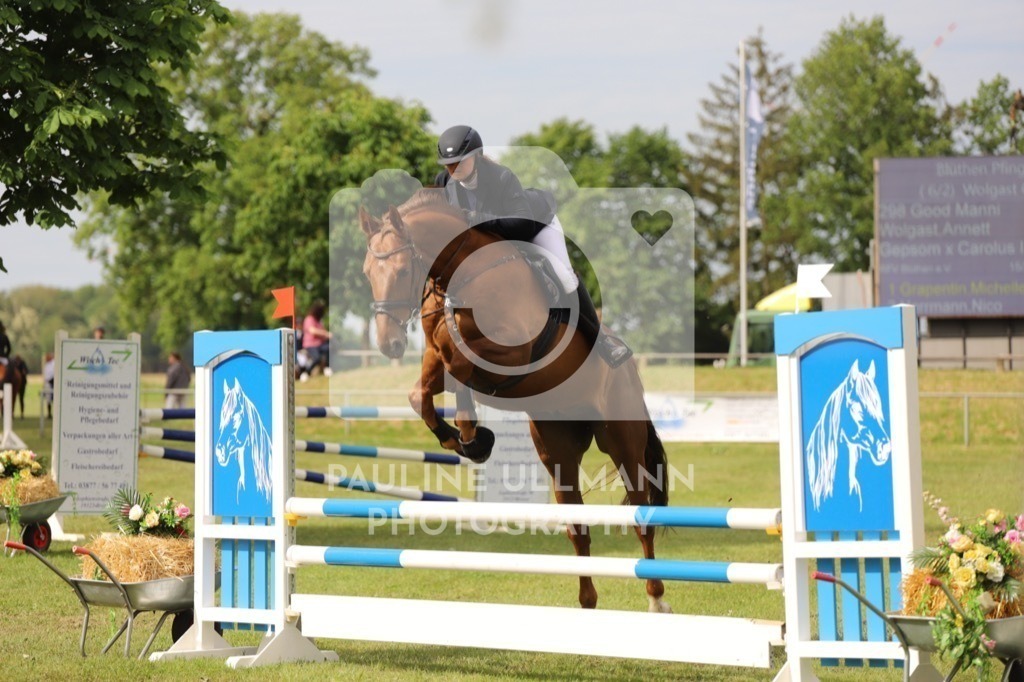 IMG_6963 | Pauline Ullmann Photography - Realisiert mit Pictrs.com