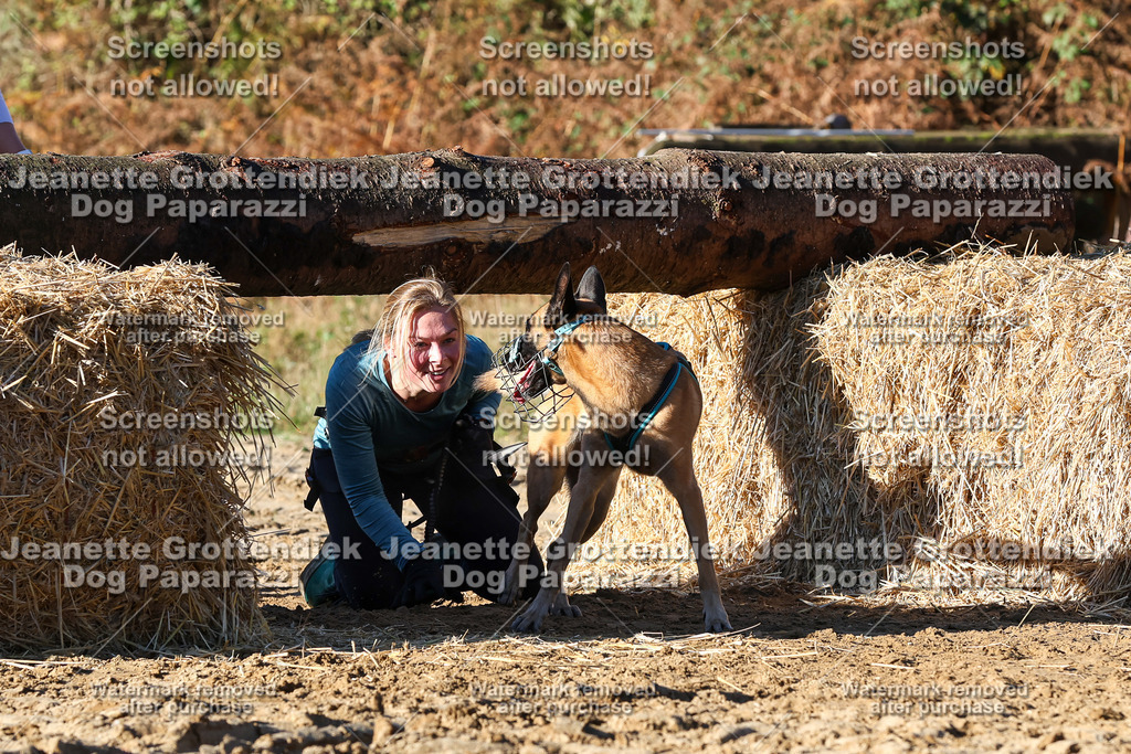 Dog Paparazzi - Strongdog 10-25-1551 | Dog Paparazzi Jeanette Grottendiek Fotografie & Videografie - Realisiert mit Pictrs.com