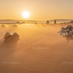 Morgennebel