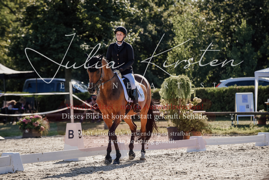 DSC_0306 | Pferde- und Turnierfotografie in Westsachsen. Pferdeportraits, Auftragszeichnungen und intuitive Kunst.