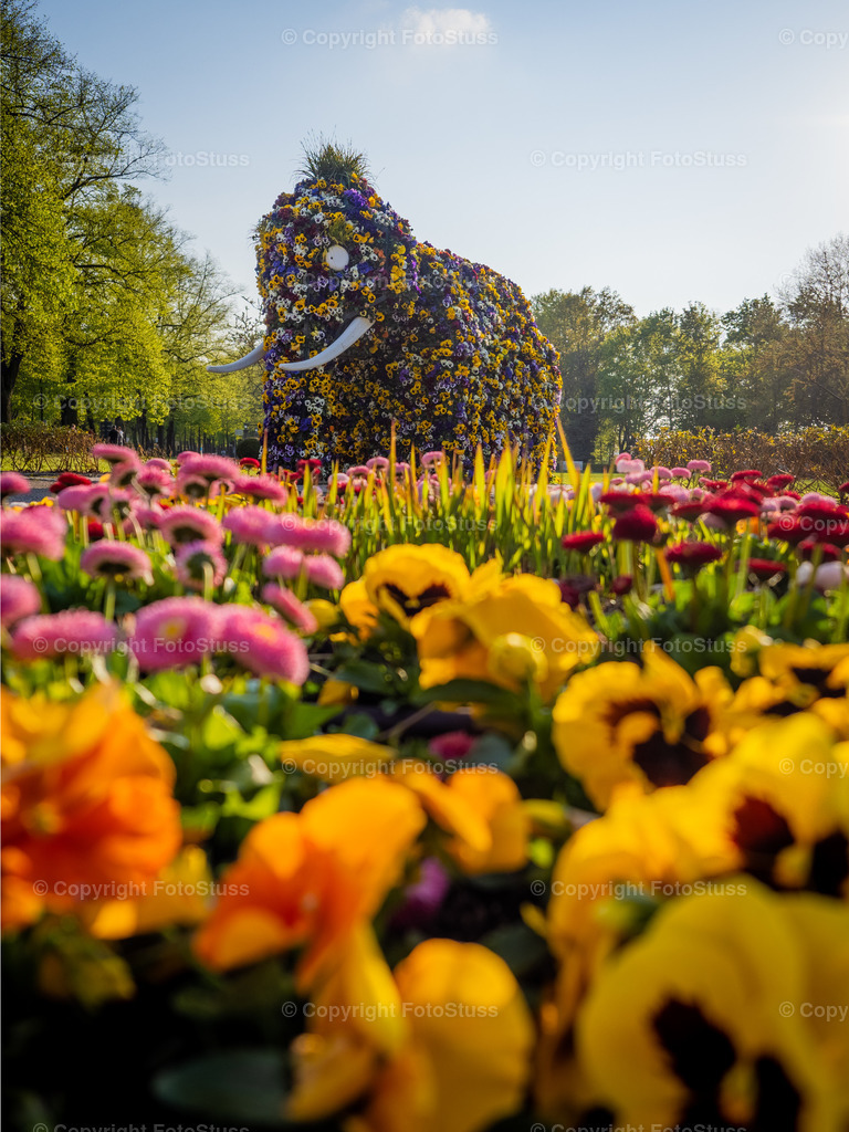 Elefant im Kurpark Hamm | Die bepflanzten Elefanten finden sich in der ganzen Stadt Hamm Westfalen verteilt und bieten einen wunderschönen Anblick - Realisiert mit Pictrs.com